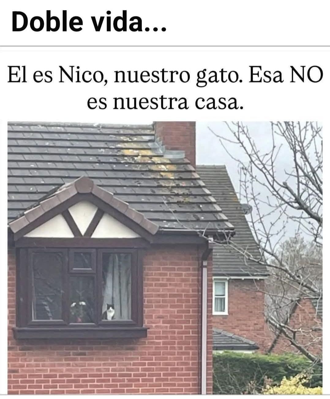 Imagen de publicación